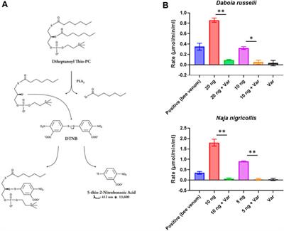 Optimizing drug discovery for snakebite envenoming via a high-throughput phospholipase A2 screening platform